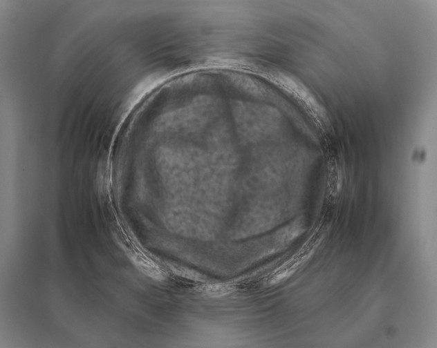 X0000094821280200712141636