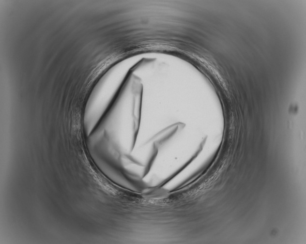 X0000094821281200712141636