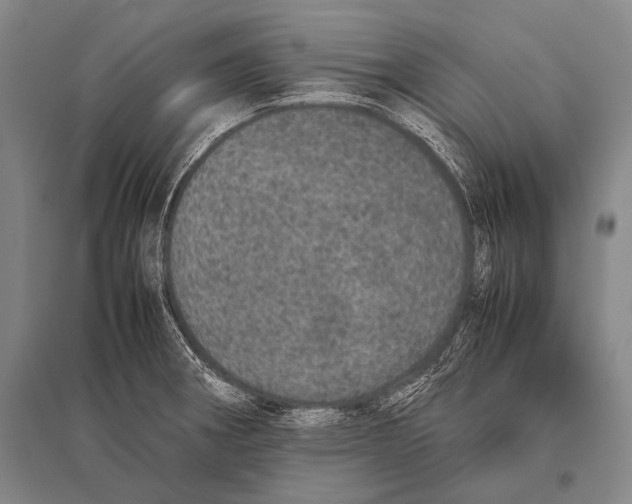 X0000094821282200712141636