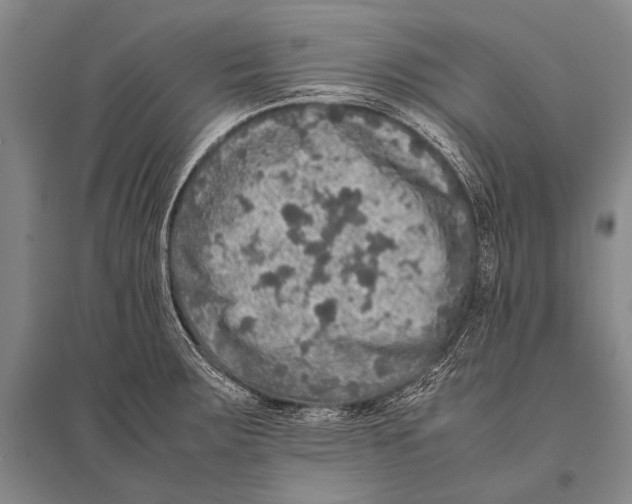 X0000094821283200712141636