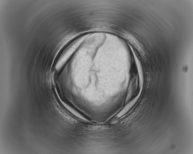 X0000094821284200712141636