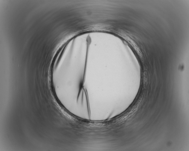 X0000094821285200712141636