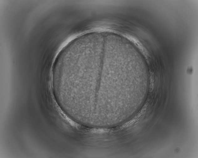 X0000094821286200712141636