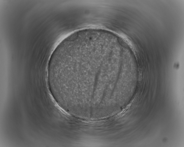 X0000094821287200712141636