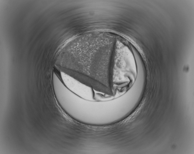 X0000094821289200712141636