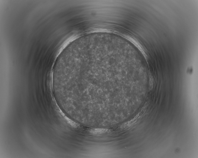 X0000094821290200712141636