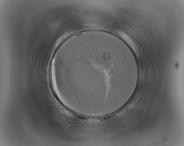 X0000094821291200712141636