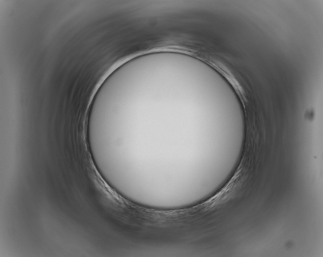 X0000094821292200712141636