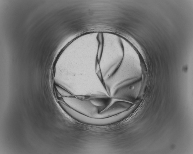 X0000094821293200712141636