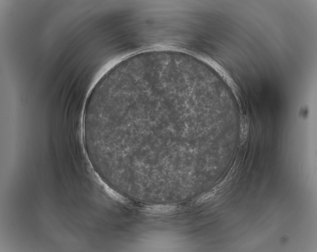 X0000094821294200712141636