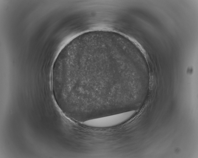 X0000094821295200712141636