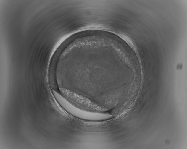 X0000094821296200712141636