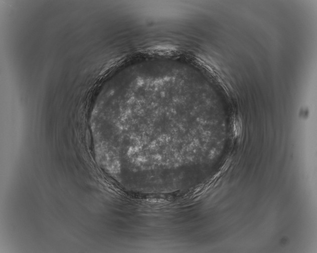 X0000094821297200712141636