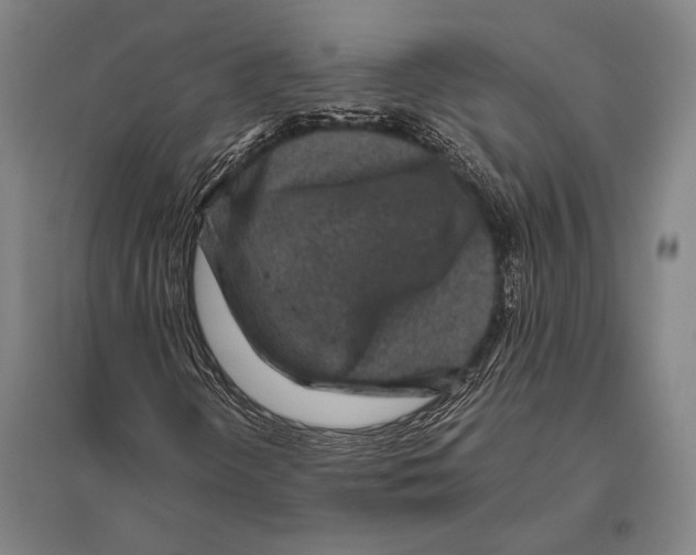 X0000094821298200712141636