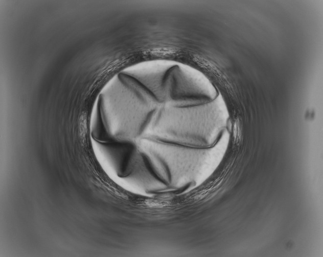 X0000094821299200712141636