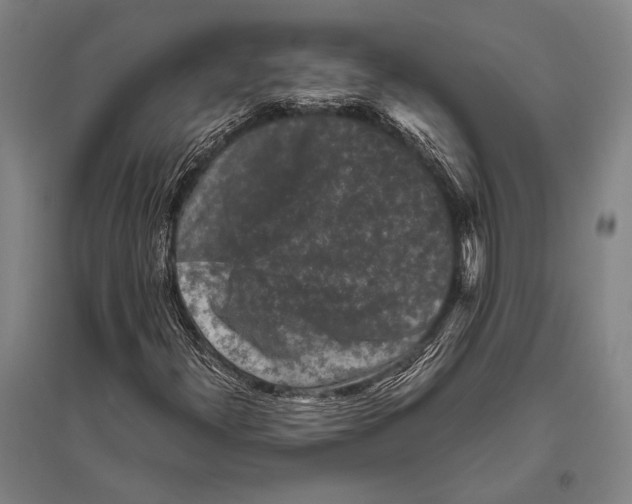 X0000094821300200712141636