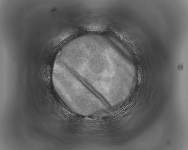 X0000094821301200712141636