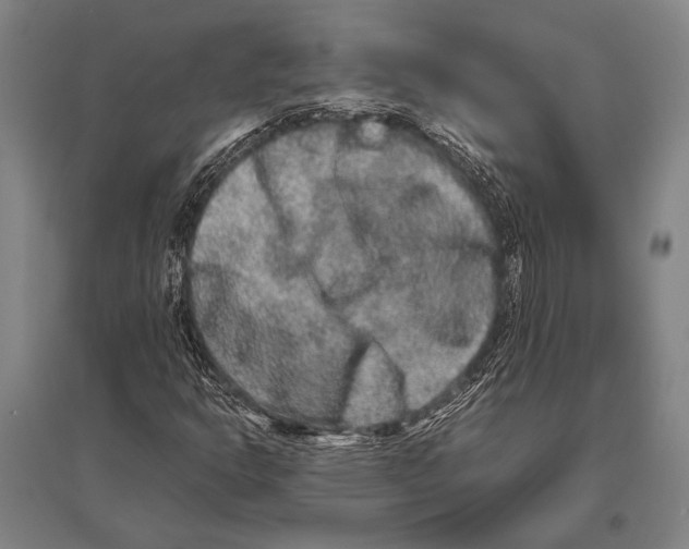 X0000094821302200712141636