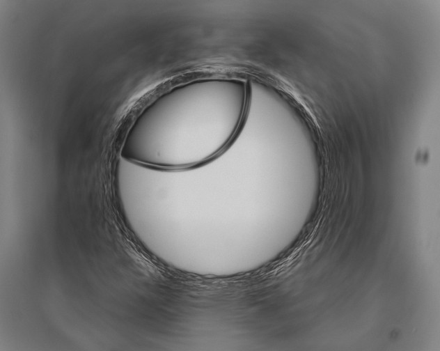 X0000094821304200712141636