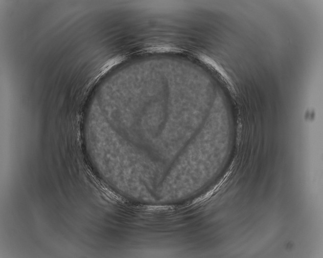 X0000094821305200712141636