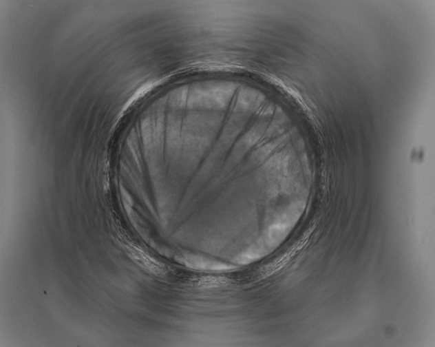 X0000094821306200712141636