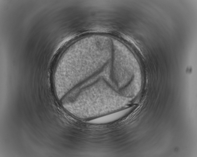 X0000094821307200712141636