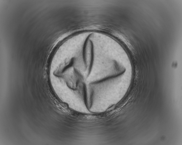 X0000094821308200712141636