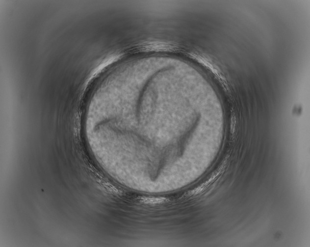 X0000094821309200712141636