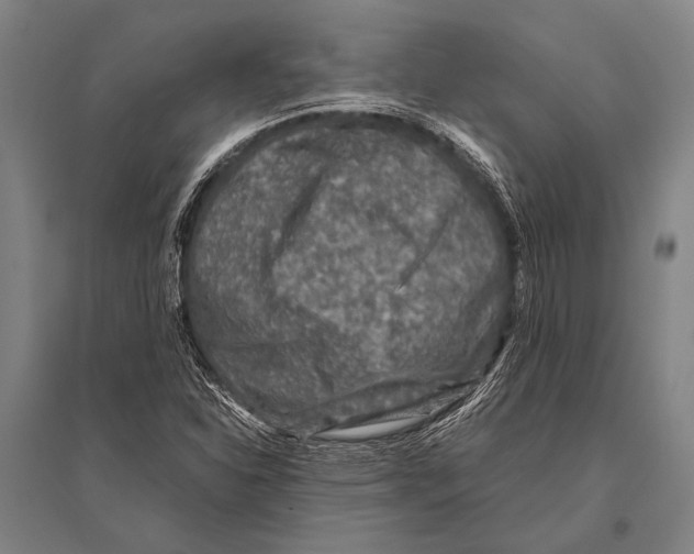 X0000094821310200712141636