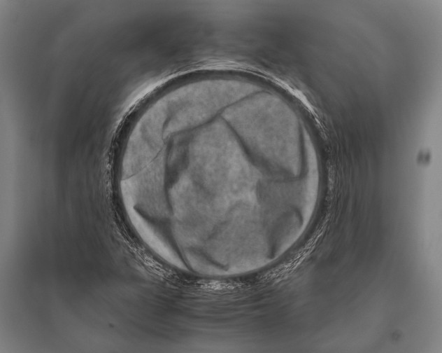 X0000094821311200712141636