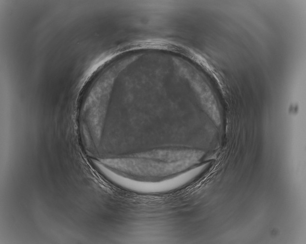 X0000094821312200712141636