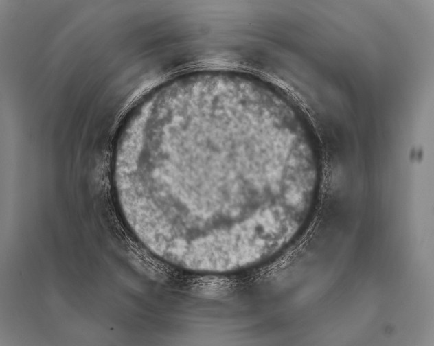 X0000094821314200712141636