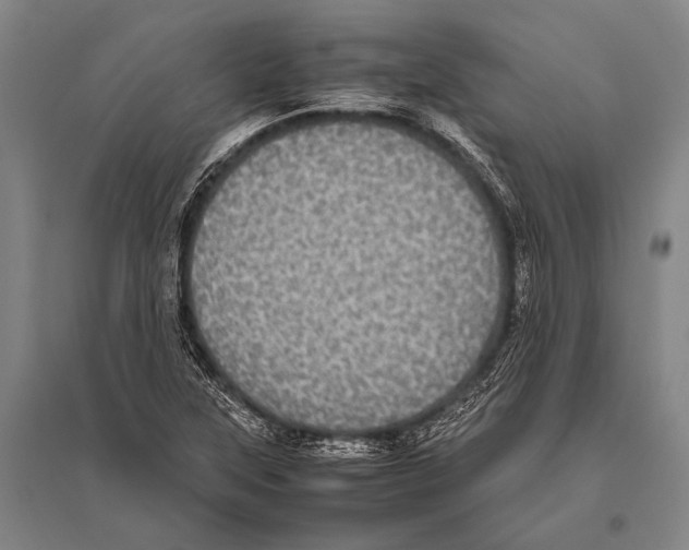 X0000094821315200712141636