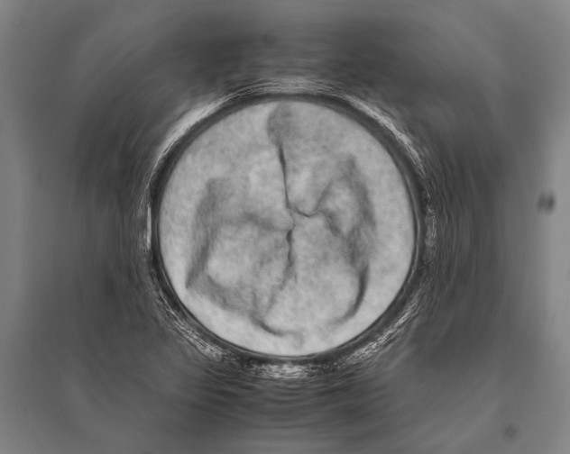 X0000094821317200712141636