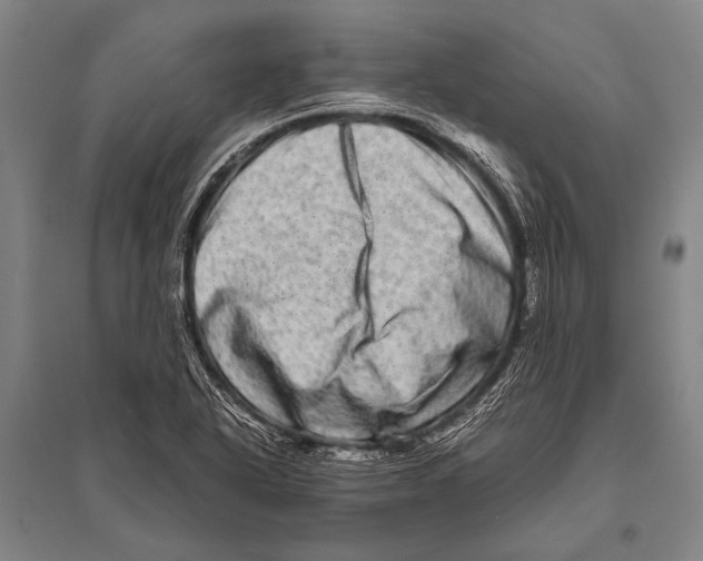 X0000094821318200712141636