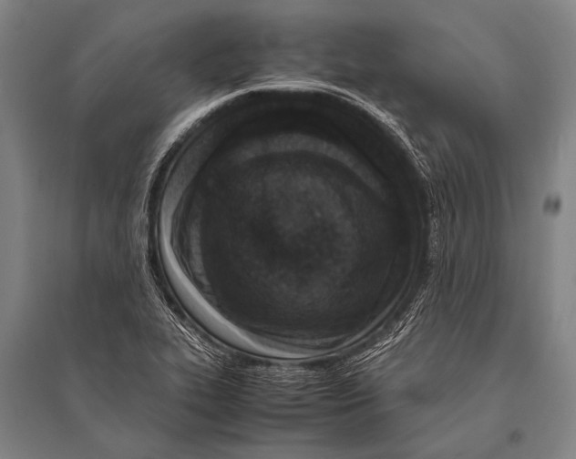 X0000094821319200712141636