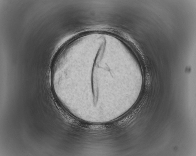 X0000094821320200712141636