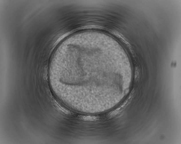 X0000094821321200712141636