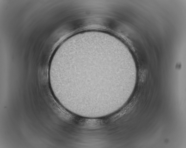 X0000094821322200712141636