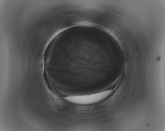 X0000094821323200712141636