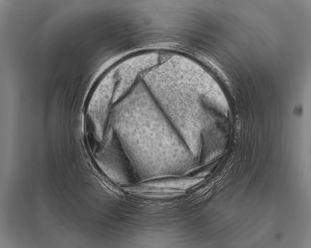 X0000094821324200712141636