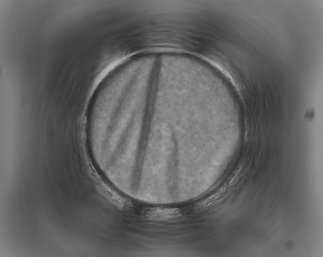 X0000094821325200712141636