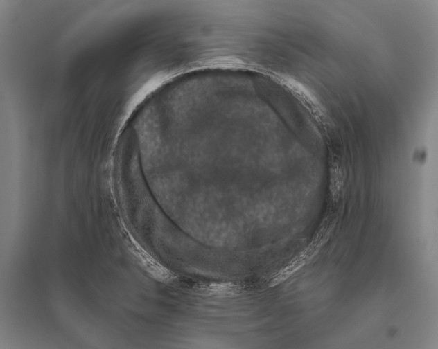 X0000094821326200712141636