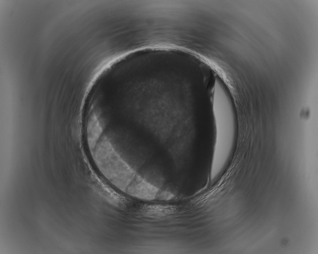 X0000094821327200712141636