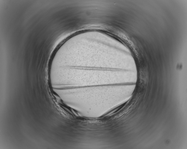 X0000094821328200712141636