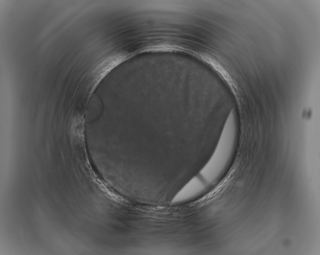 X0000094821329200712141636