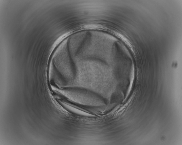 X0000094821330200712141636