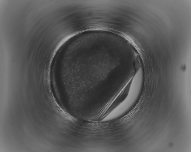 X0000094821331200712141636