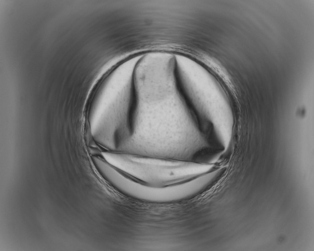 X0000094821332200712141636