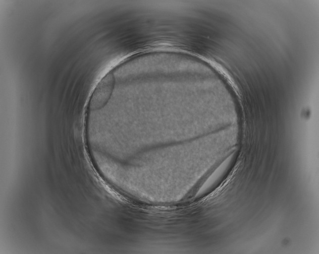 X0000094821333200712141636